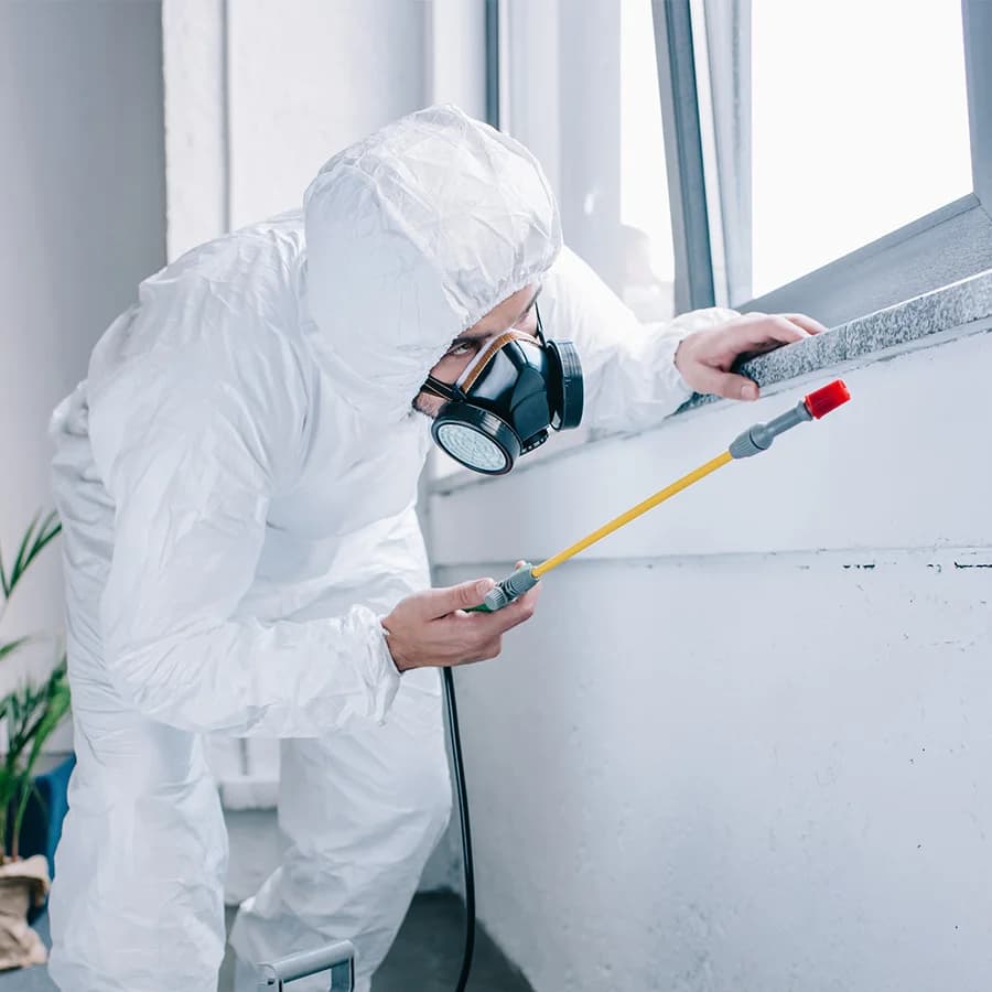 Equipo profesional de IngeCoplag durante un servicio de control de plagas